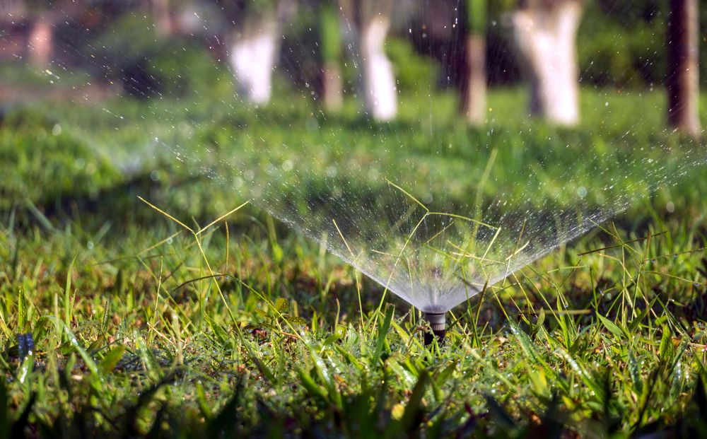 Asperseur d'arrosage automatique dans l'herbe