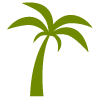 picto-palmier